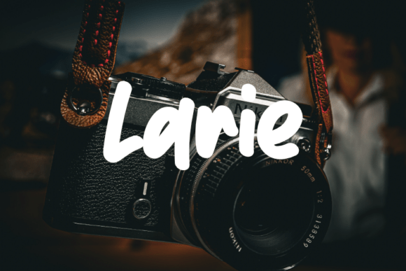 Larie Font: Elevating Small Business Branding
