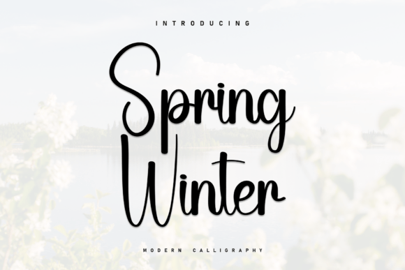 Spring Winter Font Review for Brand Designers